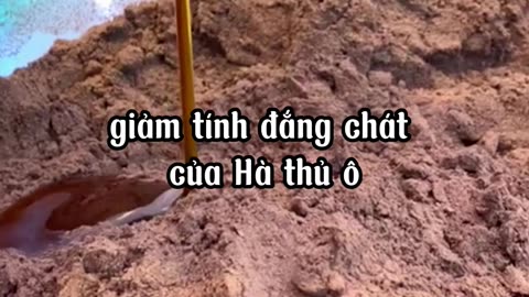 Quy Trình Làm Viên Hà Thủ Ô Đỏ Mật Ong Rừng Chuẩn Nhất