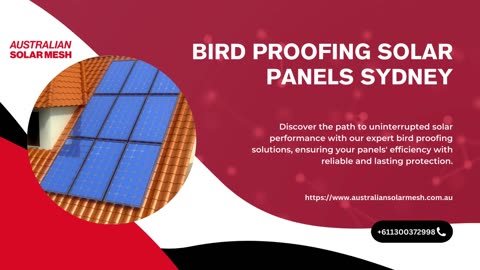 Keep Your System Clear with Bird Proofing Solar Panels in Sydney