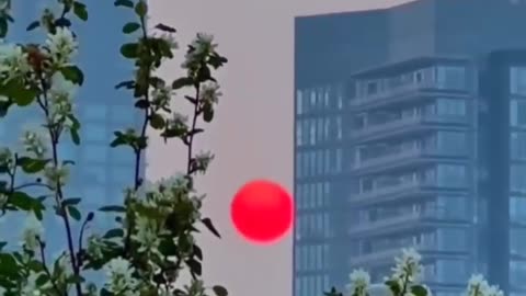 Red sun