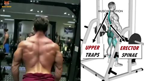 OP 5 LAT MIDDLE BACK TRAPS WORKOUT WITH DUMBBELLS CABLE AND MACHINE AT GYM