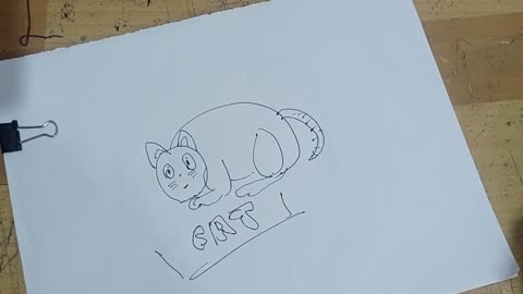 Drawing My Cat