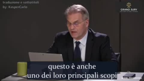 L'avvocato Fuellmich (Corona Investigative Committee)