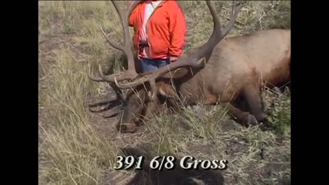 391 Gross Scoring Elk!