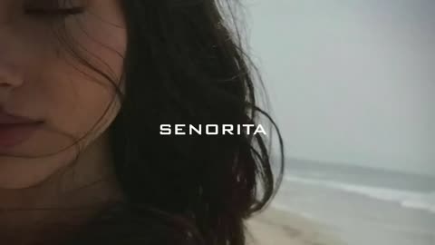 SENORITA (SLOWED REVERB)_2