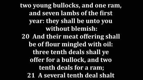 Numbers 28 King James version