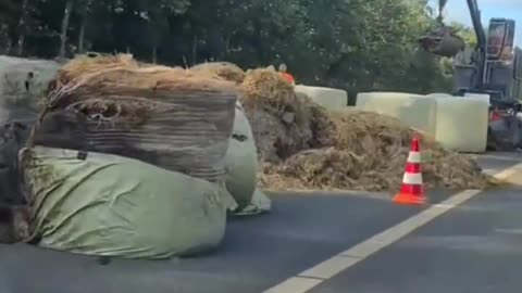 Good Luck Cleaning This Up: These Dutch Farmers Aren't Joking