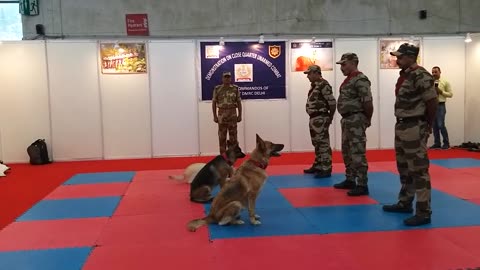 CISF demonstration of Dog Squad