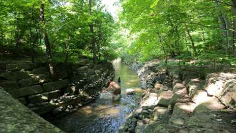 🍃 In My Zone 💦 Day 11 Creek Life 🌴