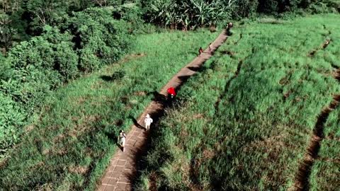 BALI-INDONESIA-FLYCAM VIET