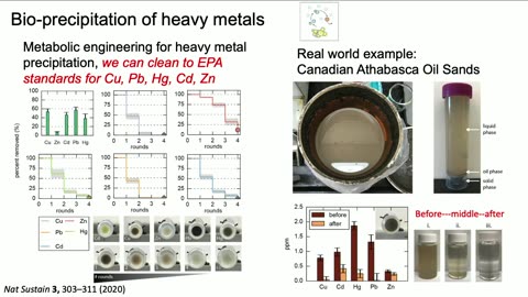 "Controlling Materials At The Nano Scale" "2023 Mildred S. Dresselhaus Lecture: Angela Belcher, MIT.nano