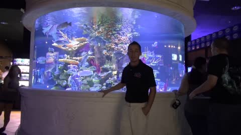 AllFish Emporium New Shark Tank Reveal