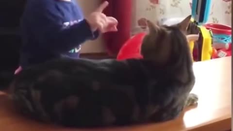 Funny cat reaction with babies😹😂