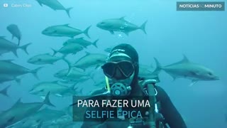 Mergulhador faz selfie em meio a cardume de peixes