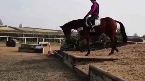 A funny clip of a horse throwing its owner at😉👍 ... 😂😂...... 😉😉