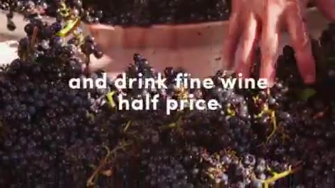 Indiegogo Campaign - Pinot Noir in Willamette Valley