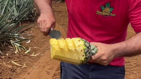 How to cut pineapples.