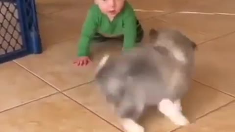 Cute Kitten Playing With Cute Boy