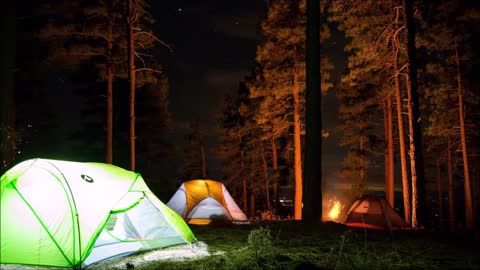 Relaxing Harp in nature at night with Campfire crackling #2