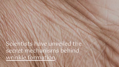 The Mystery of Human Wrinkles: Scientists Unveil Secret Mechanisms