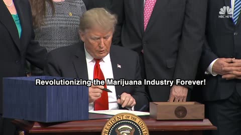 Trump is pro-cannabis