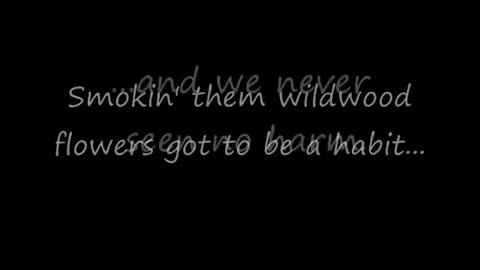 Jim Stafford - Wildwood Weed