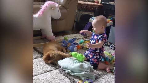 Cutest Babies Play With Dogs And Cats Compilation