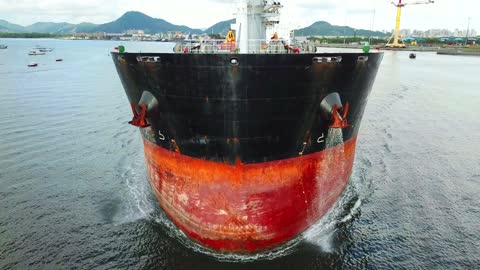 The Mandarin Phoenix cargo ship leaving the port of the city of Santos - Brazil