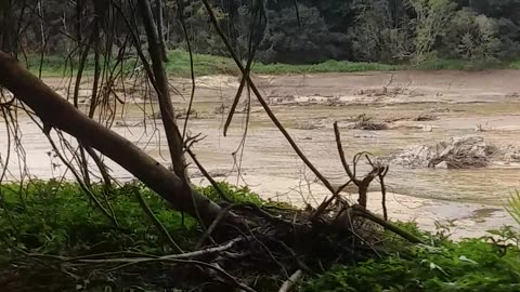 The Barron River, Kuranda (6)