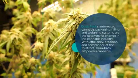 Revolutionizing Cannabis Packaging: Dura-Pack's Automated Solutions