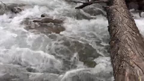 Mountain river in Altay