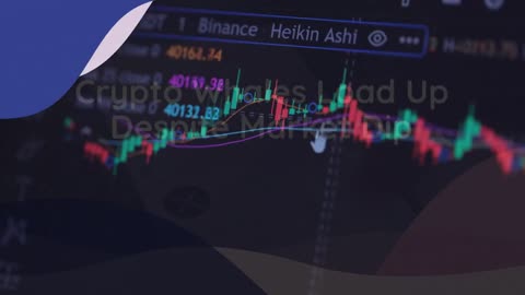 Crypto Whales Bought These Altcoins in the First Week of August 2024