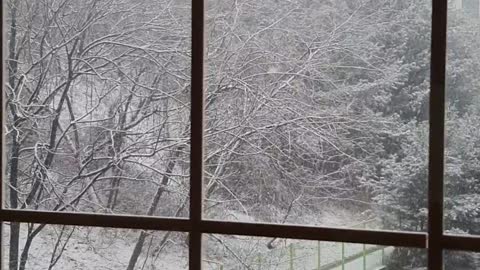 snowy landscape outside the window