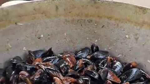 Unique way -Fried Fish