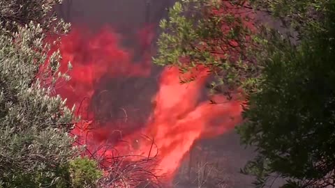 Smoke looms over Athens as firefighters battle wildfires | REUTERS