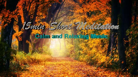 15 Minute Calming Music #meditation #music #nature #mindfulness #relax