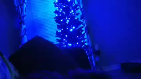 Blue Christmas