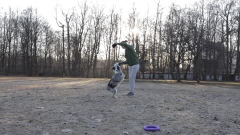 Woman playing with her dog