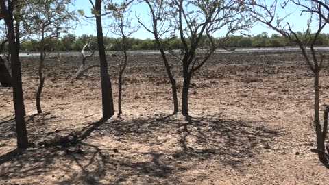 LAST PARADISE SERIES - Cleaning up outback Australia wild boar hunting