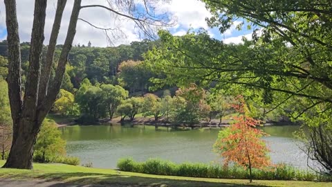 The Botanic Garden Lake in the Sunshine