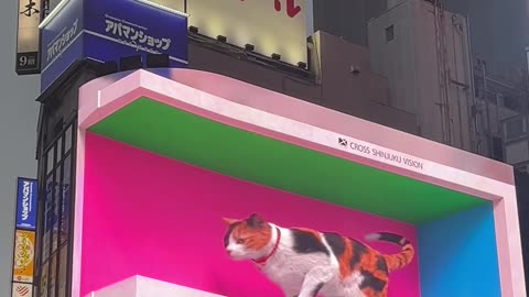 3D digital billboard image of a giant cat draws attention in Tokyo | 🇯🇵 Japan Shinjuku .