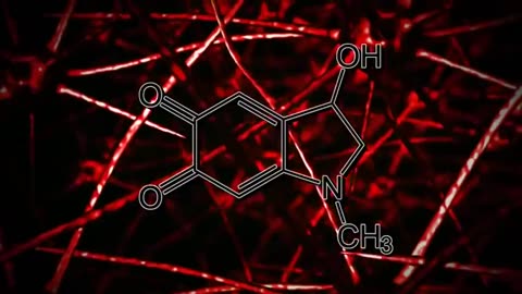 Summary of Adrenochrome