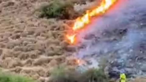 Wild deer and boars flee fire sparked by Hezbollah rockets in northern Israel.