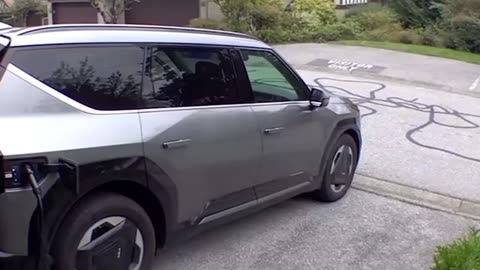 A sudden neighbor appeared: a Canadian found a bear with cubs in his garage.