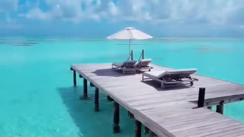 This place is unreal(Maldives) 🏖️💙