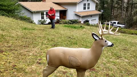 3D Yard Archery