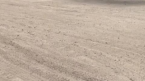 Dust Devil in a Dirt Parking Lot