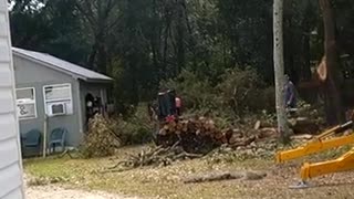 TREE CLEANUP 2 ON 1-12-2022