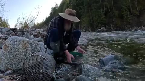 Gold Prospecting