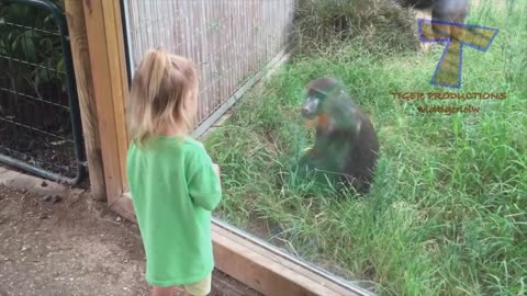 Baby & Animals at zoo.Forgot cats