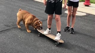 Kids Commandeer Dog's Skateboard